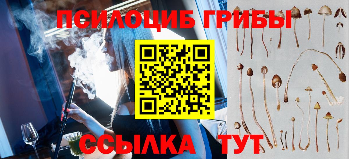 Псилоцибиновые грибы прущие грибы  Вход с VPN  Асбест 